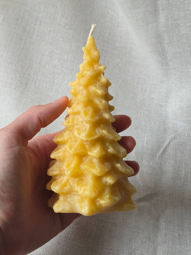 Fir Tree Beeswax Candles - 3 Sizes