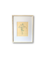 Framed Vintage Bouquet Print