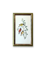 Vintage Framed Bird Print