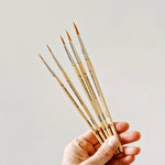 Watercolor Paintbrush Set of Five Wood Brushes by Emily Lex Studio