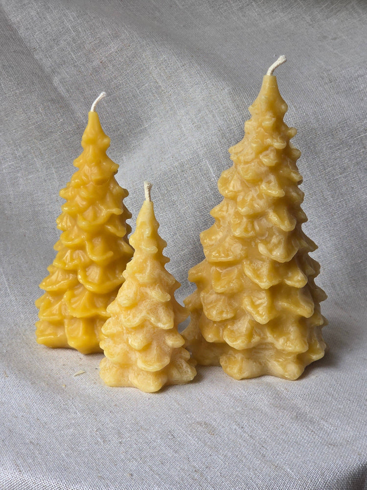 Fir Tree Beeswax Candles - 3 Sizes