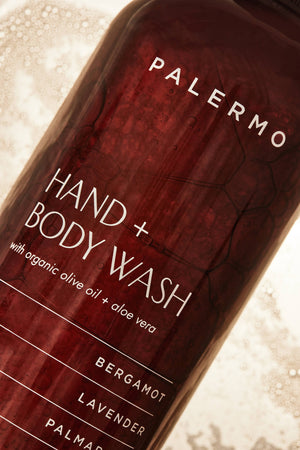 
            
                Load image into Gallery viewer, Hand + Body Wash
            
        