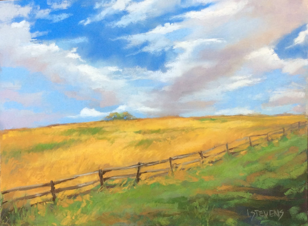 "September Field" by Libby Stevens