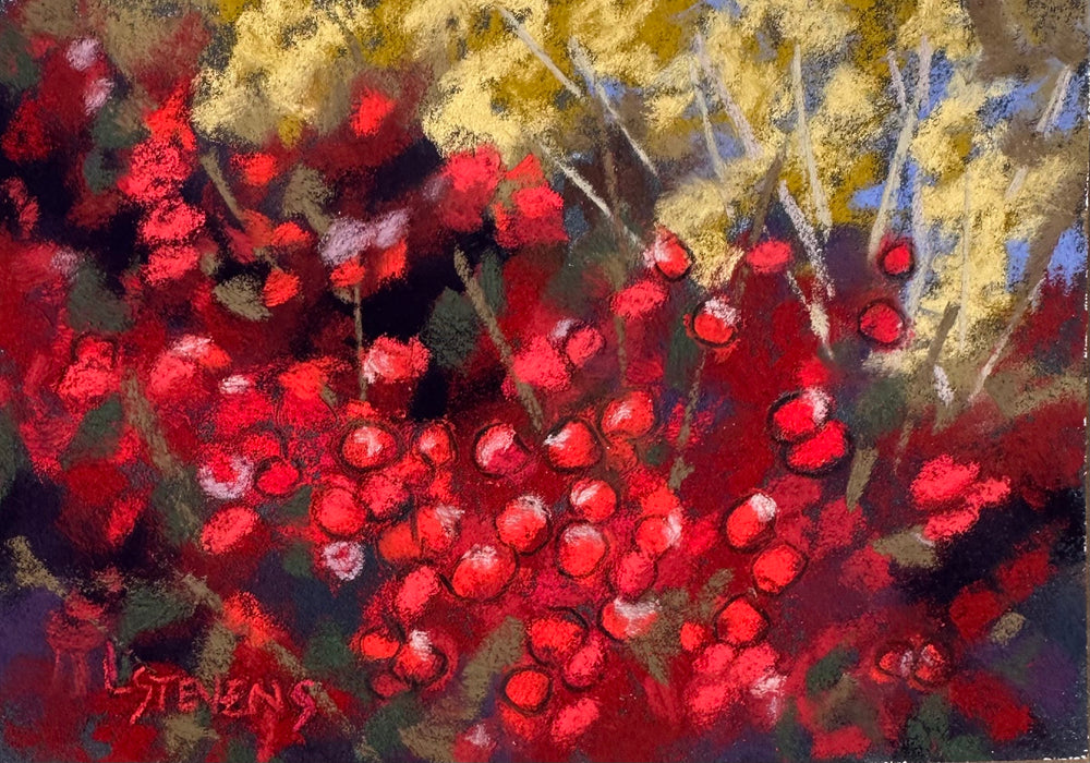 Winter Berries by Libby Stevens Art