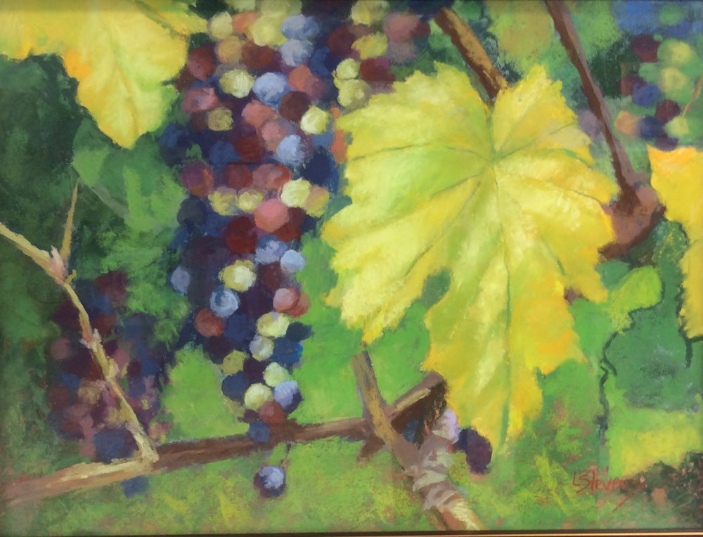 "Vintners Garden" by Libby Stevens