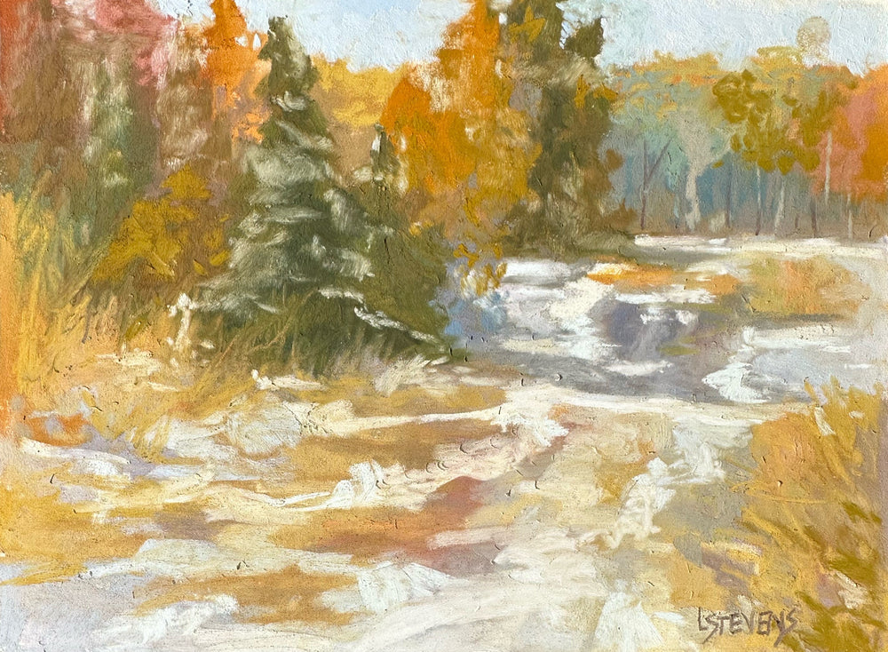 Snowy Path by Libby Stevens Art