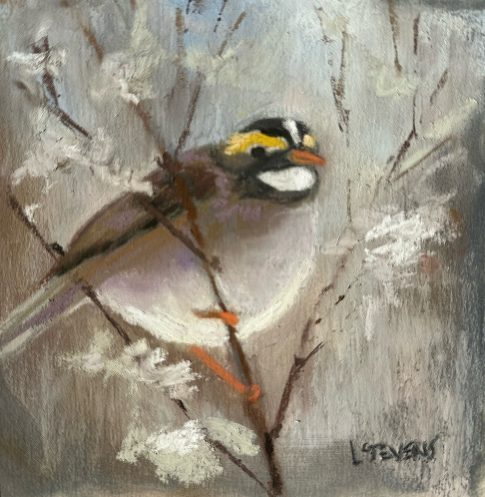 Snowbird II by Libby Stevens Art