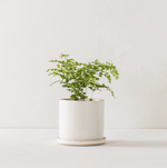 6" Minimal Planter | Stoneware
