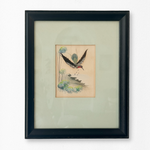 Vintage Hummingbird Art