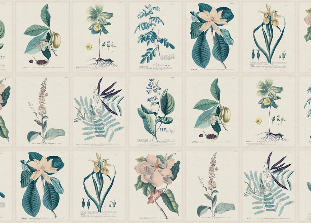 Flora Wallpaper