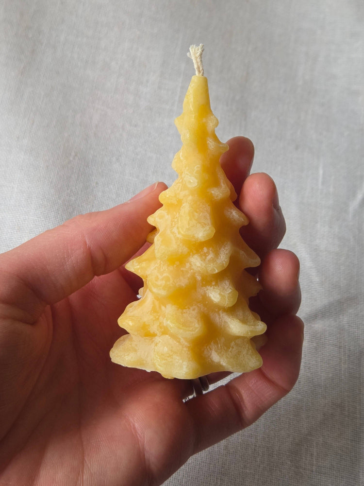 Fir Tree Beeswax Candles - 3 Sizes