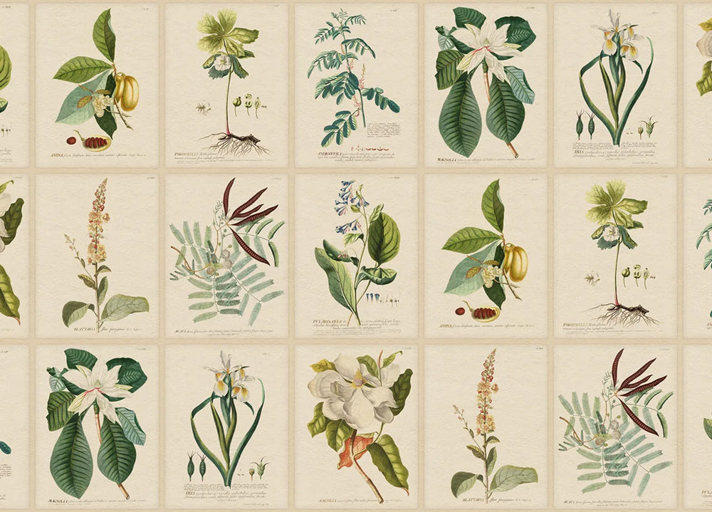 Flora Wallpaper