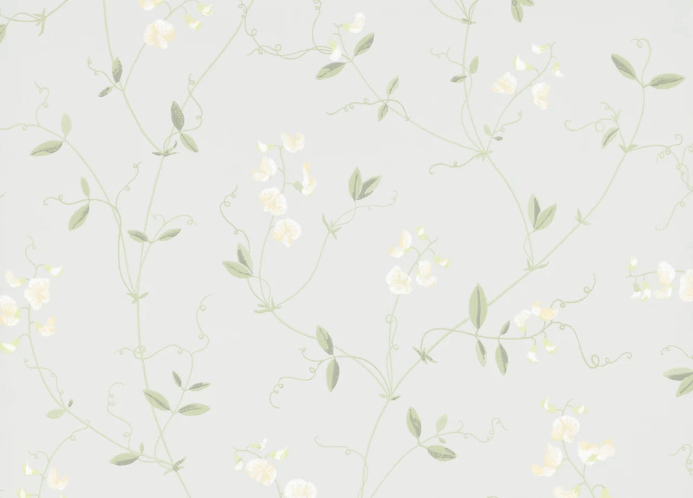 Sanna Wallpaper