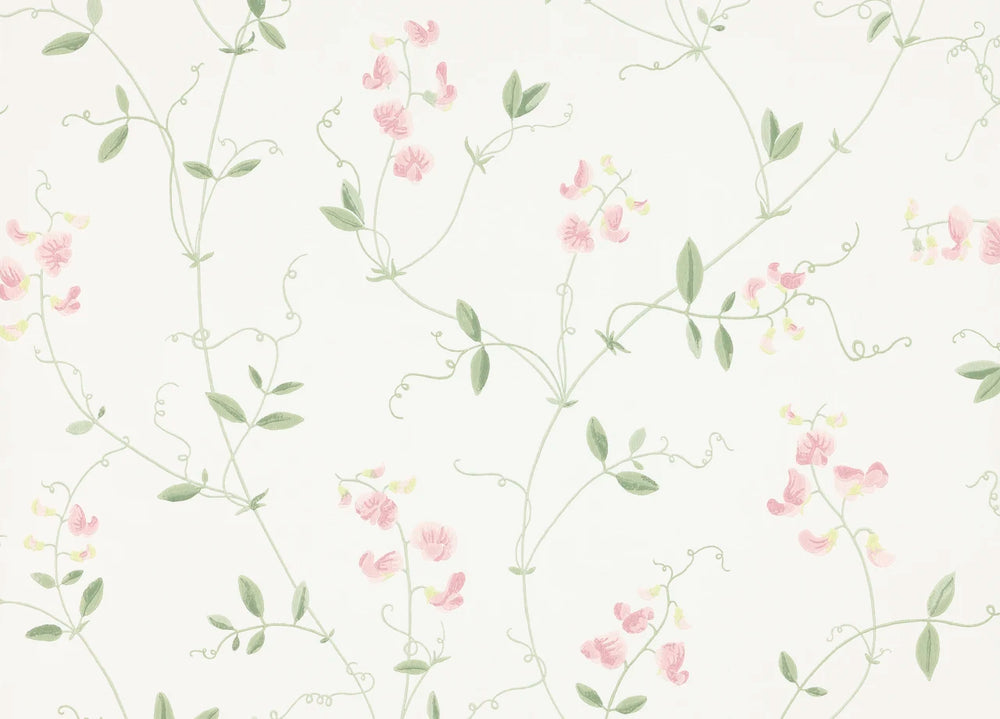 Sanna Wallpaper