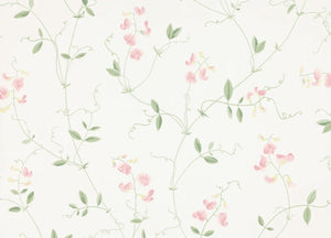 Sanna Wallpaper