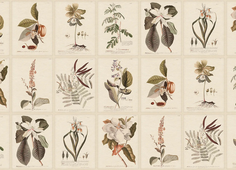 Flora Wallpaper