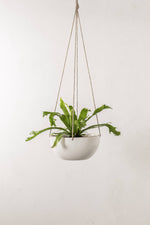 Minimal Hanging Planters | Stoneware