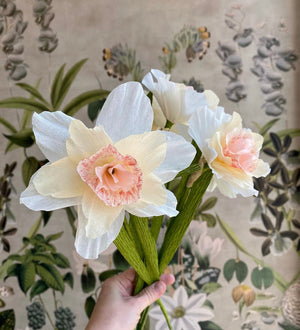 
            
                Load image into Gallery viewer, Handmade Daffodils Stems | Store Pickup Only
            
        