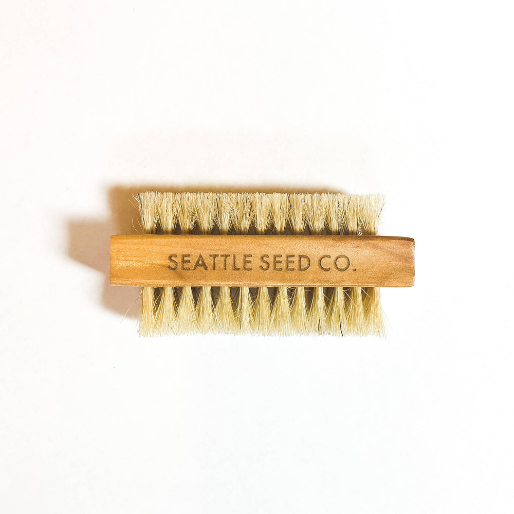 Vegetable and Nail Brush by Seattle Seed Co.